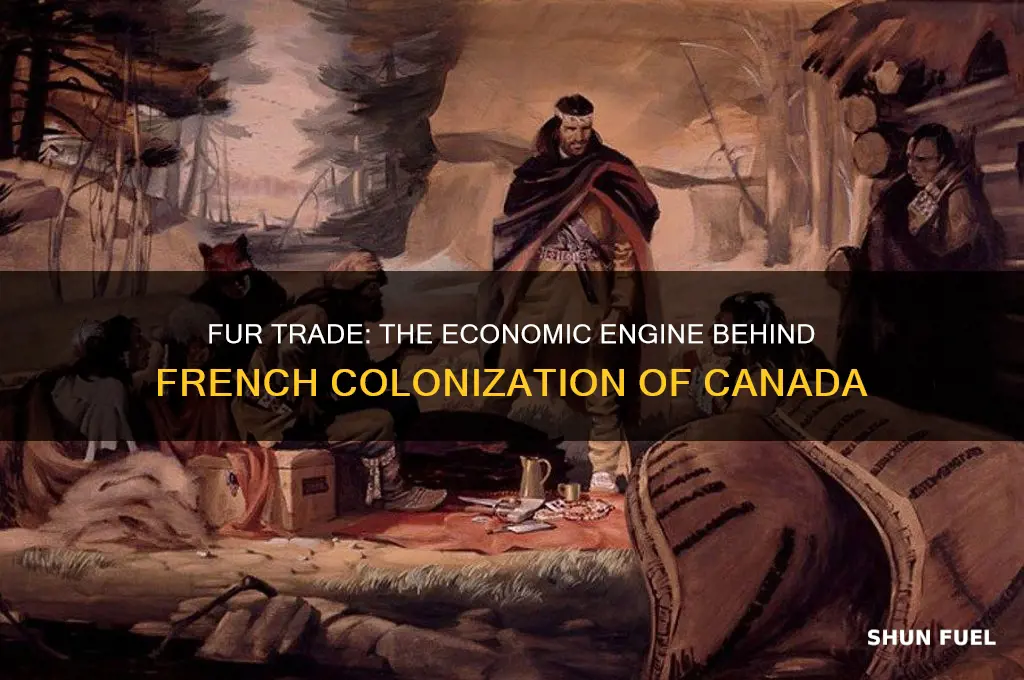 what trade item fueled the french colonization of canada