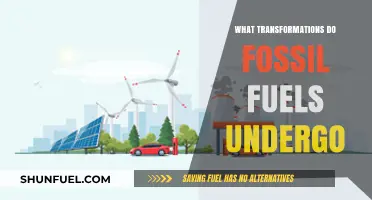 Unveiling Fossil Fuels' Journey: Transformations from Extraction to Energy