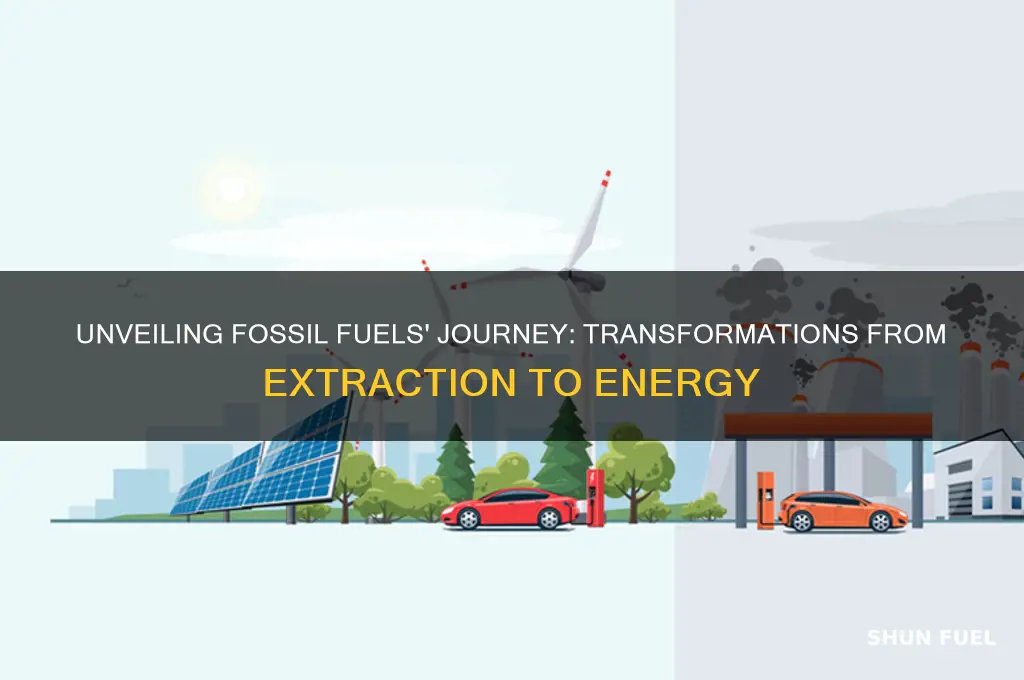 what transformations do fossil fuels undergo