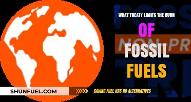 Global Climate Treaty: Limiting Fossil Fuel Emissions for a Sustainable Future