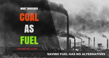 Unveiling the Catalysts: What Sparked Coal's Reign as a Fuel Source?