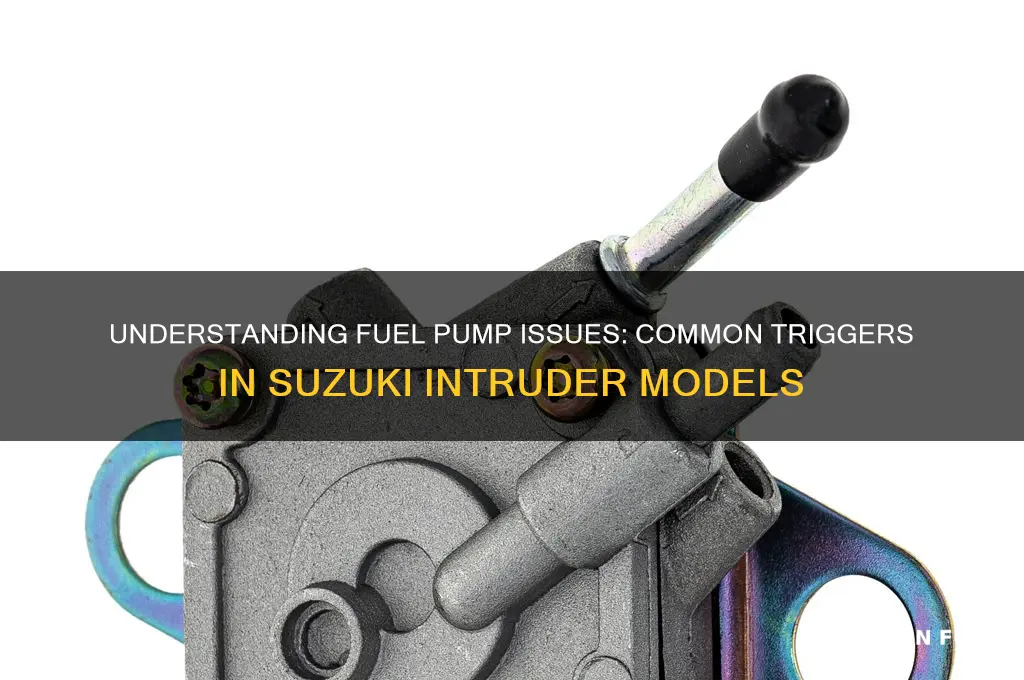 what triggers fuel pump om intruder