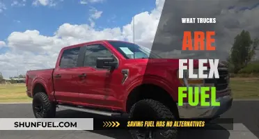 Exploring Flex Fuel Options: A Guide to Compatible Trucks