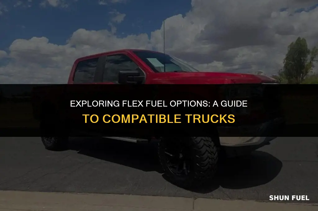 what trucks are flex fuel