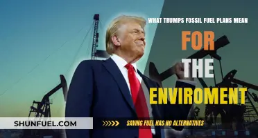 Trump's Fossil Fuel Policies: Environmental Impact and Future Concerns