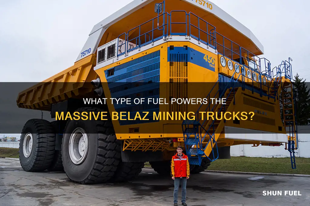 what trype of fuel does the bel az use