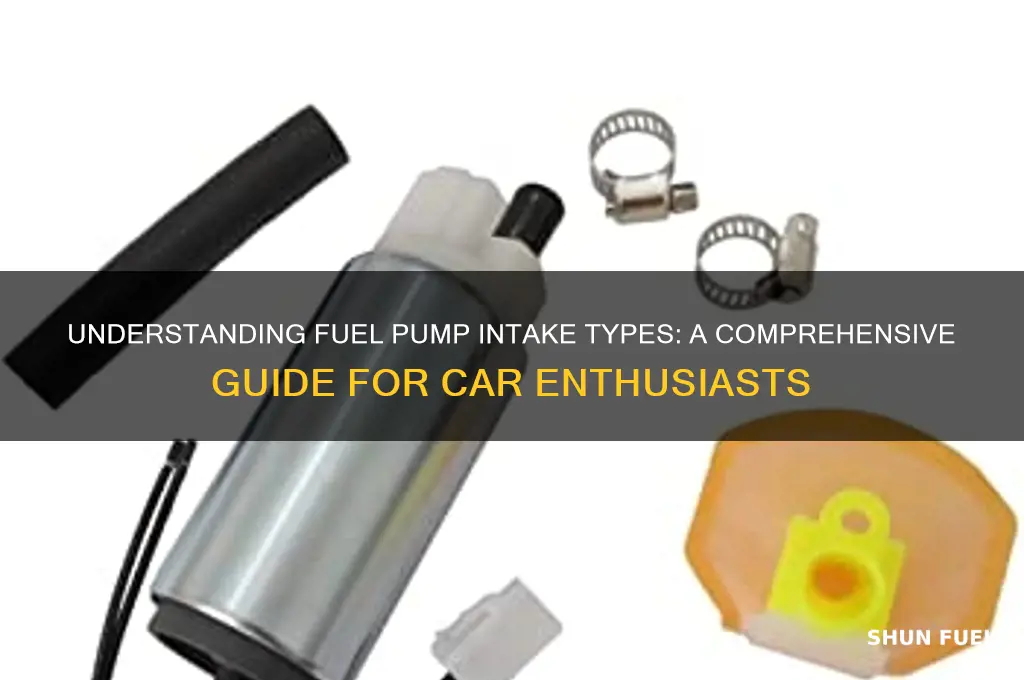 what tupe of intake does a fuel pump use