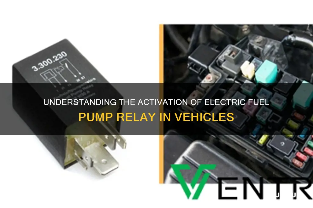what turns electric fuel pump relay on