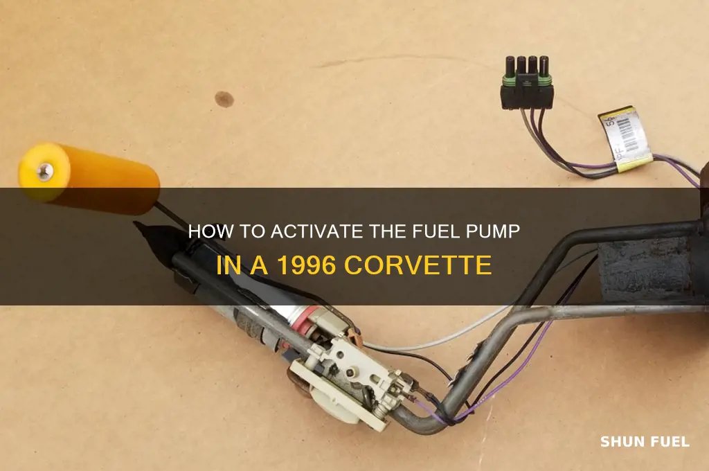 what turns on fuel pump 1996 corvette