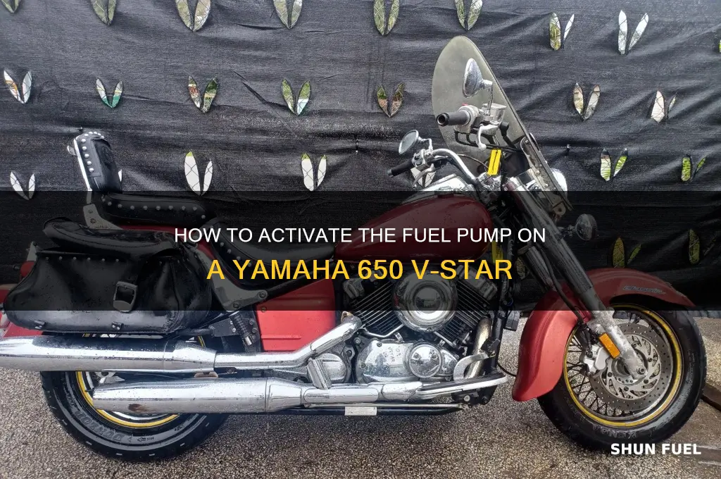 what turns on fuel pump on 650 vstar