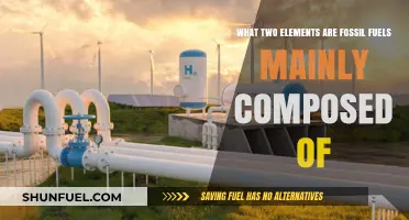 Fossil Fuels' Core Composition: Carbon and Hydrogen Explained