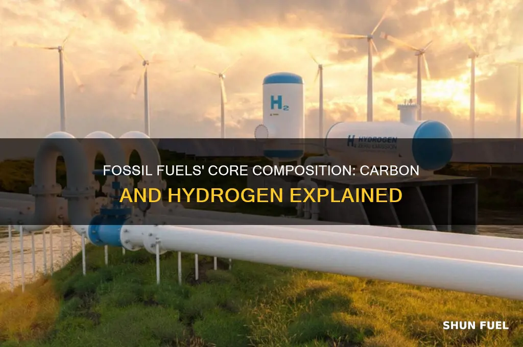 what two elements are fossil fuels mainly composed of