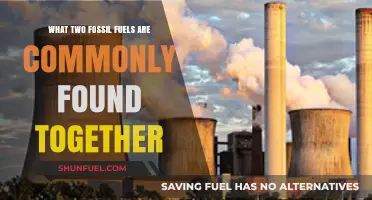 Coal and Natural Gas: The Common Fossil Fuel Duo Explained