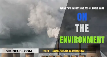Fossil Fuels' Dual Environmental Impact: Climate Change and Pollution