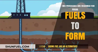 How Fossil Fuels Form: The Essential Processes of Decomposition and Pressure