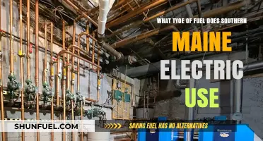 Southern Maine Electric's Fuel Sources: A Comprehensive Overview