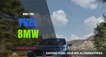 Exploring BMW's Fuel Options: A Comprehensive Guide