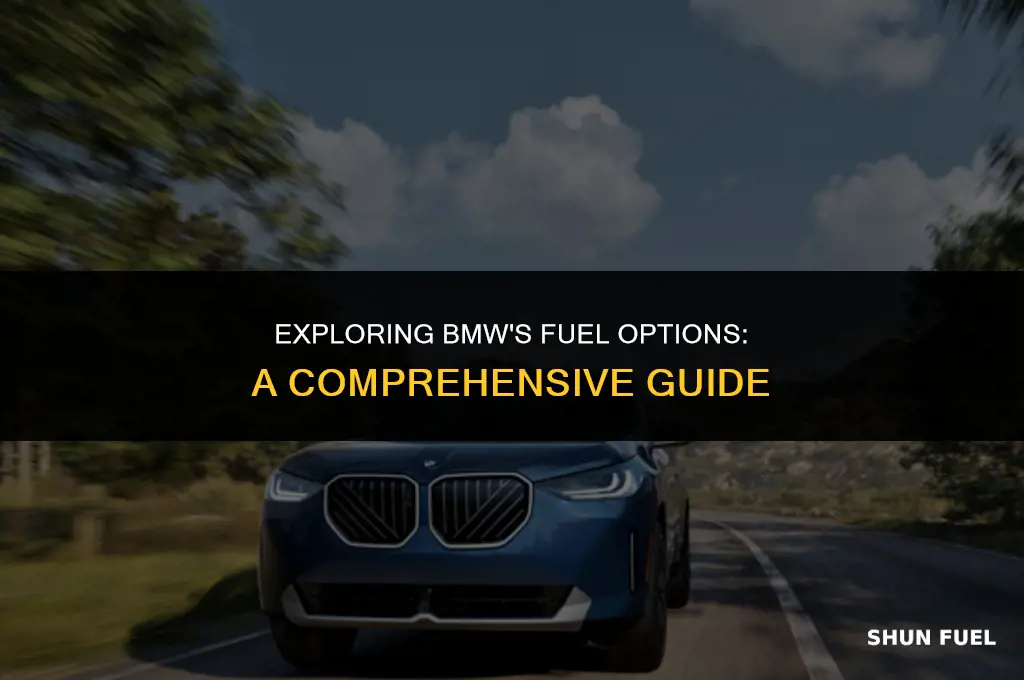 what type fuel bmw