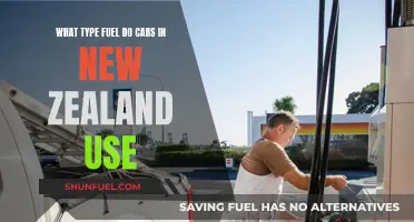The Fuel Situation for Cars in New Zealand