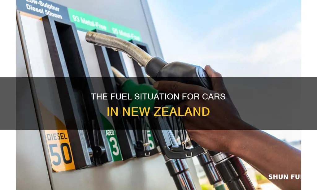 what type fuel do cars in new zealand use