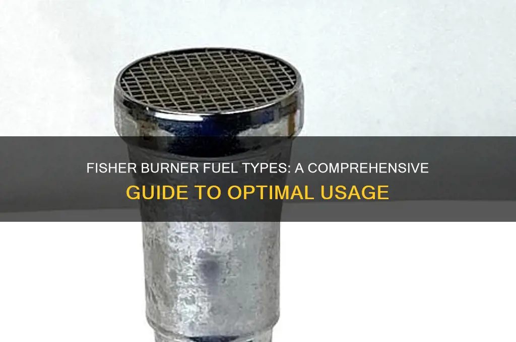 what type fuel does fishere burner use