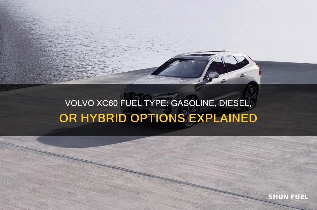 what type fuel does xc 60 volvo use