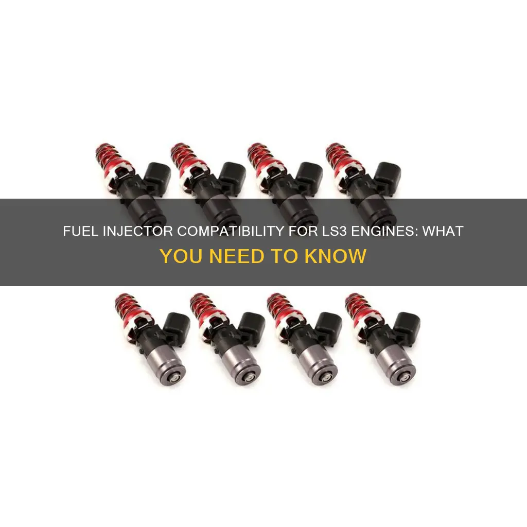 what type fuel injector does a ls3 take