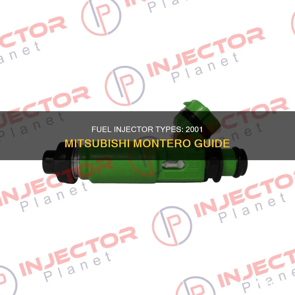 what type is 2001 mitsubishi montero fuel injector type