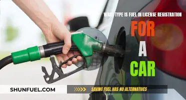 Fuel Type and Car Registration: What's the Link?