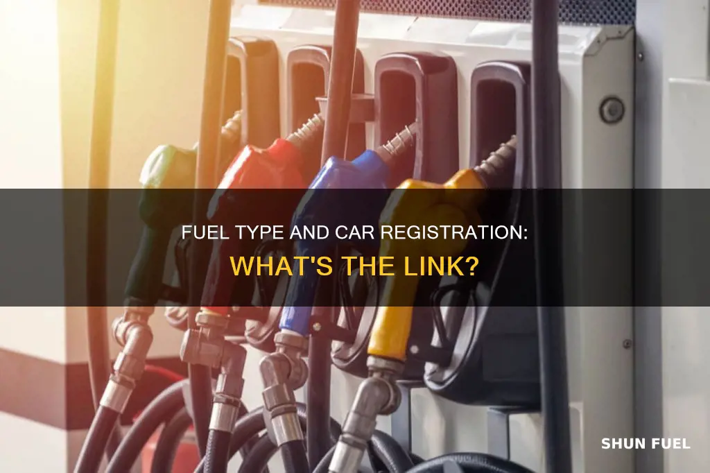 what type is fuel in license registration for a car