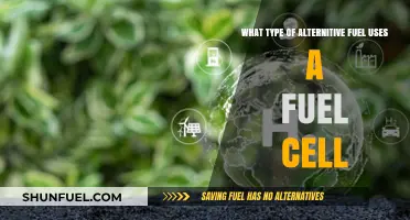 Exploring Hydrogen Fuel Cells: Clean Energy for a Sustainable Future