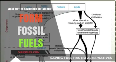 Unveiling the Ancient Recipe: Conditions for Fossil Fuel Formation Explained
