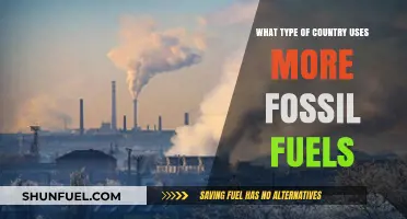 Fossil Fuel Dependence: Which Countries Rely Most on Non-Renewables?
