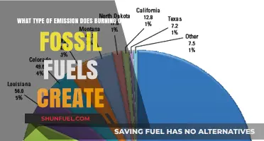 Burning Fossil Fuels: Unveiling the Harmful Emissions Released into Our Atmosphere