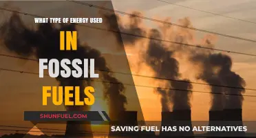 Understanding Fossil Fuels: Exploring the Energy Types They Utilize
