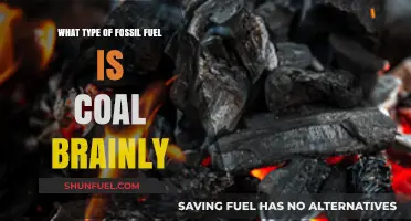 Understanding Coal: A Deep Dive into This Fossil Fuel's Nature