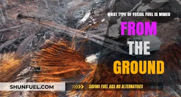 Unearthing Energy: Exploring the Fossil Fuel Mined from the Ground