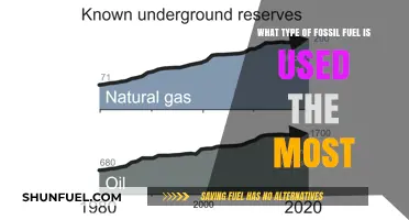 The Dominant Fossil Fuel: Uncovering the Most Used Energy Source