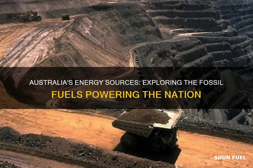 what type of fossil fuels are used in australia