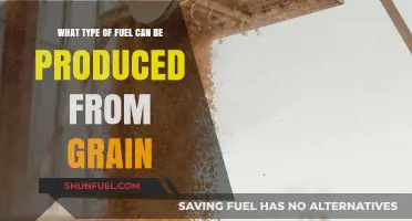 From Grain to Gas: Exploring Fuel Types Produced from Crops