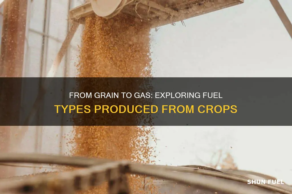 what type of fuel can be produced from grain