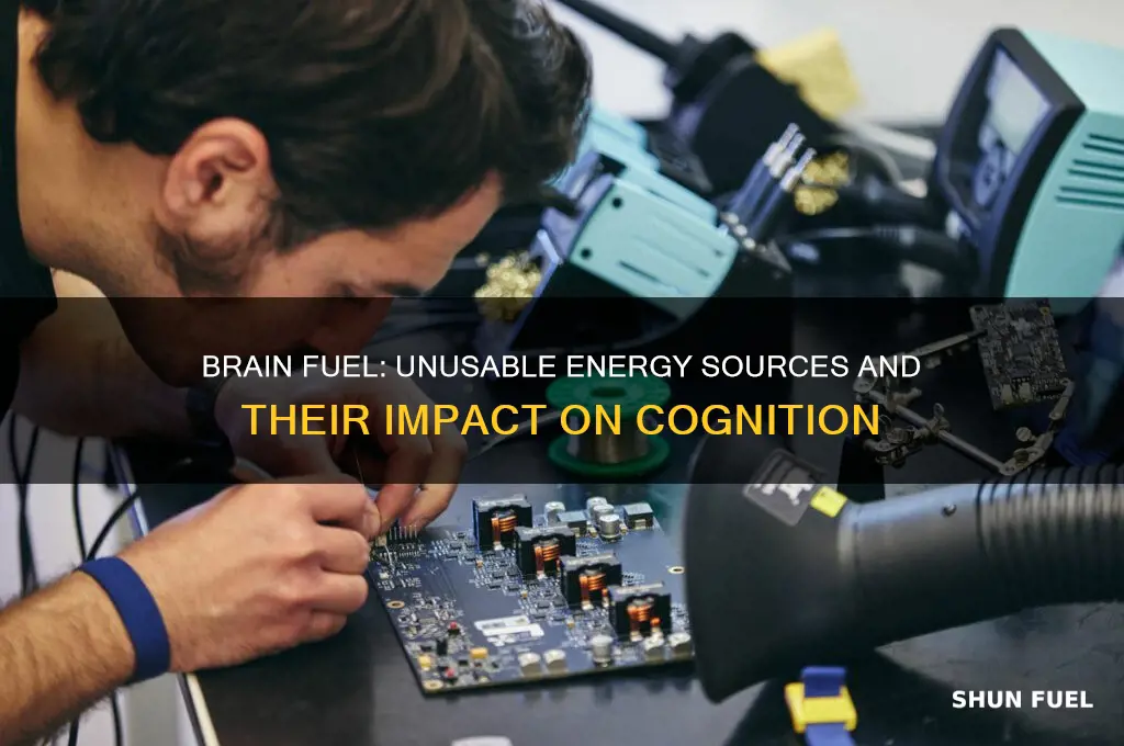 what type of fuel can brains not use