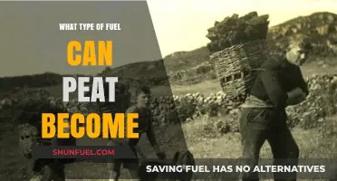 Peat's Potential: Exploring Its Transformation into Sustainable Fuel Sources
