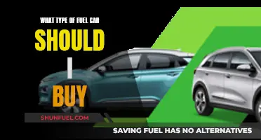 The Best Fuel Type for Your Next Car Purchase