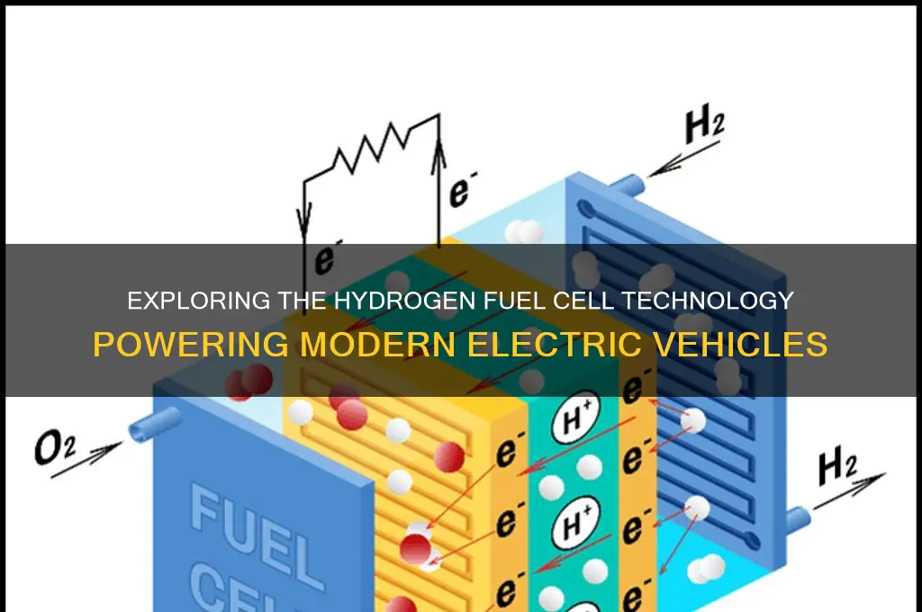 what type of fuel cell is used in cars