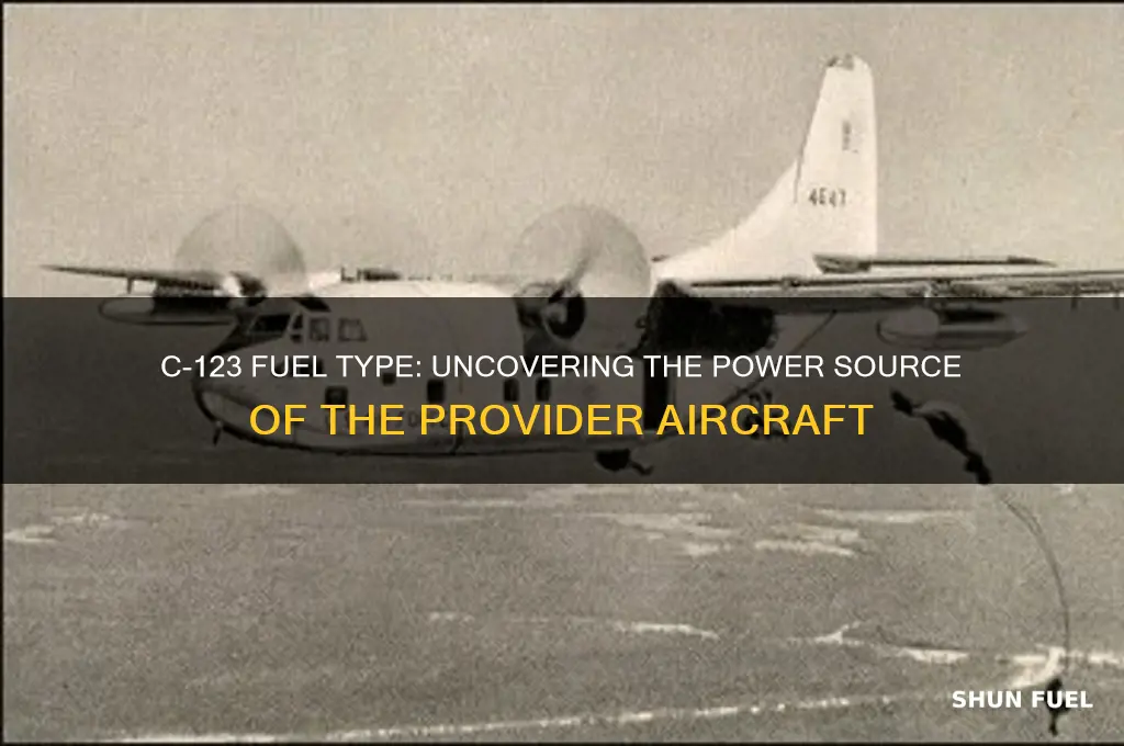 what type of fuel did a c123 use