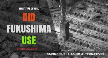 Fukushima's Fuel Source: Understanding the Nuclear Reactor's Power