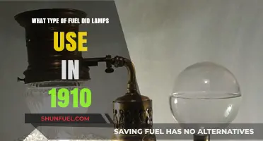 Illuminating the Past: Lamp Fuels of 1910 Revealed