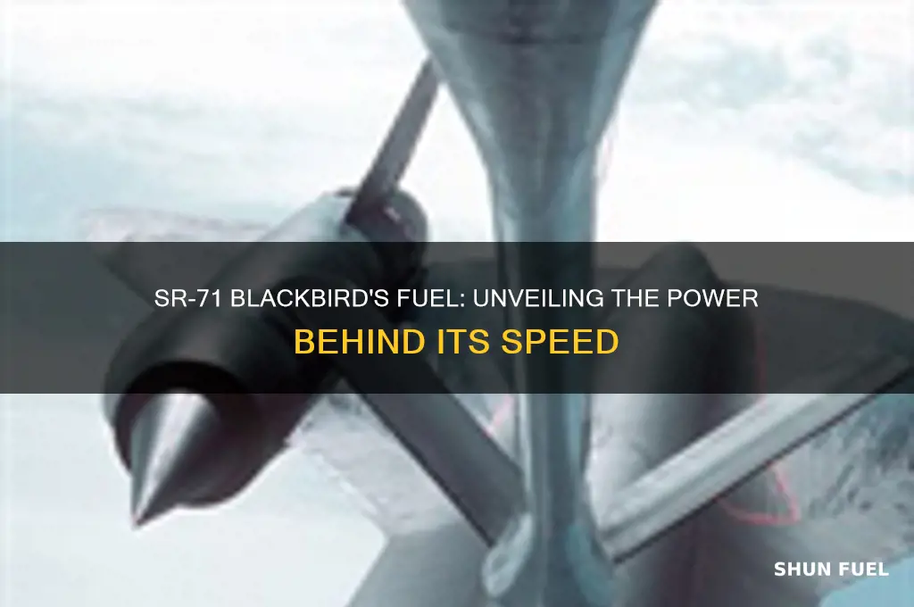 what type of fuel did the sr71 use