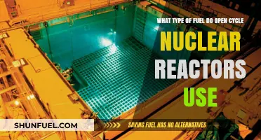 Open Cycle Nuclear Reactors: Fuel Types and Operational Insights